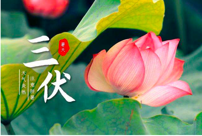 夏至将至40天超长三伏天即将来袭今年啥时候入伏快来看看