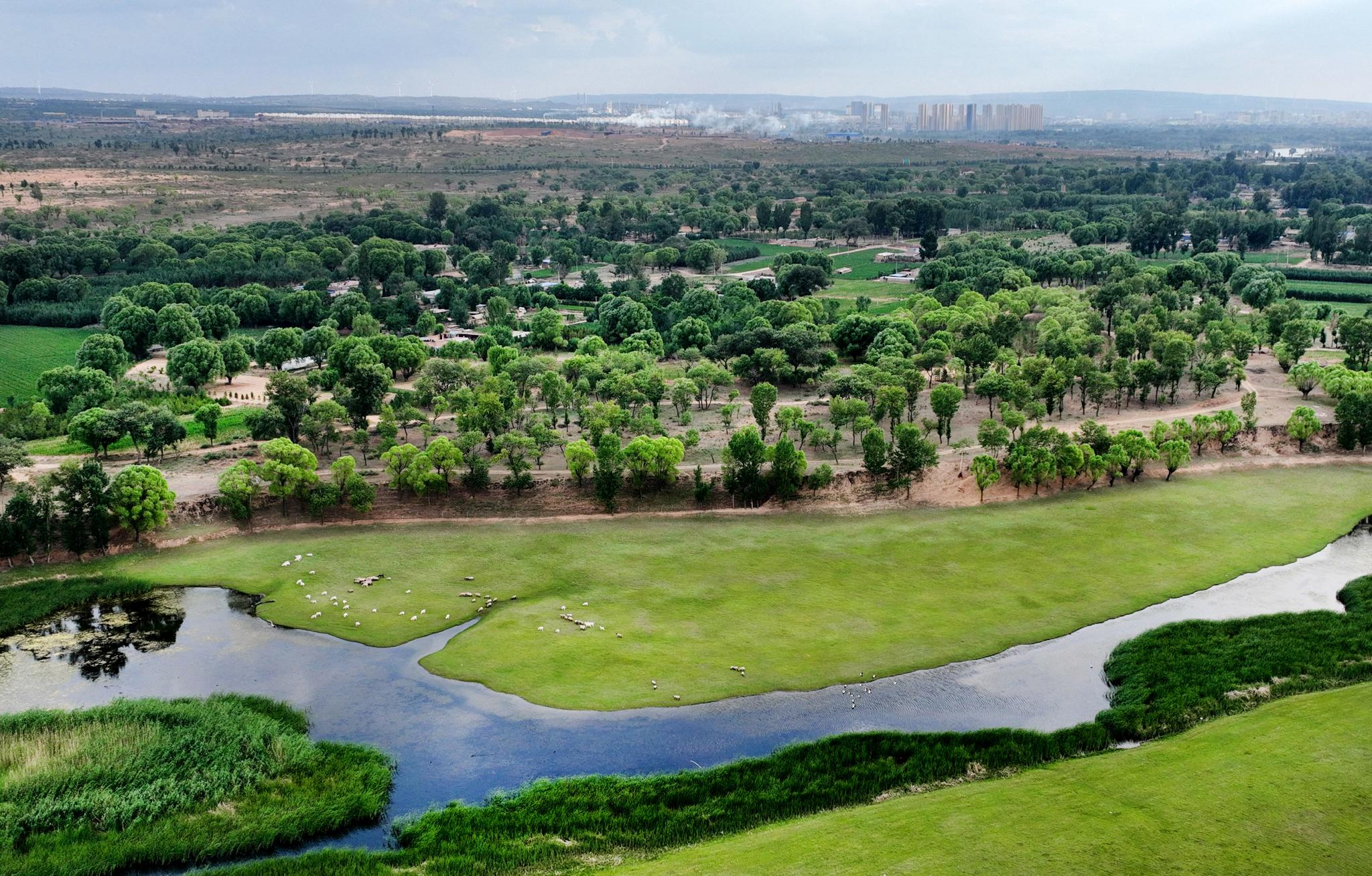 陕西靖边芦河湿地水清景美