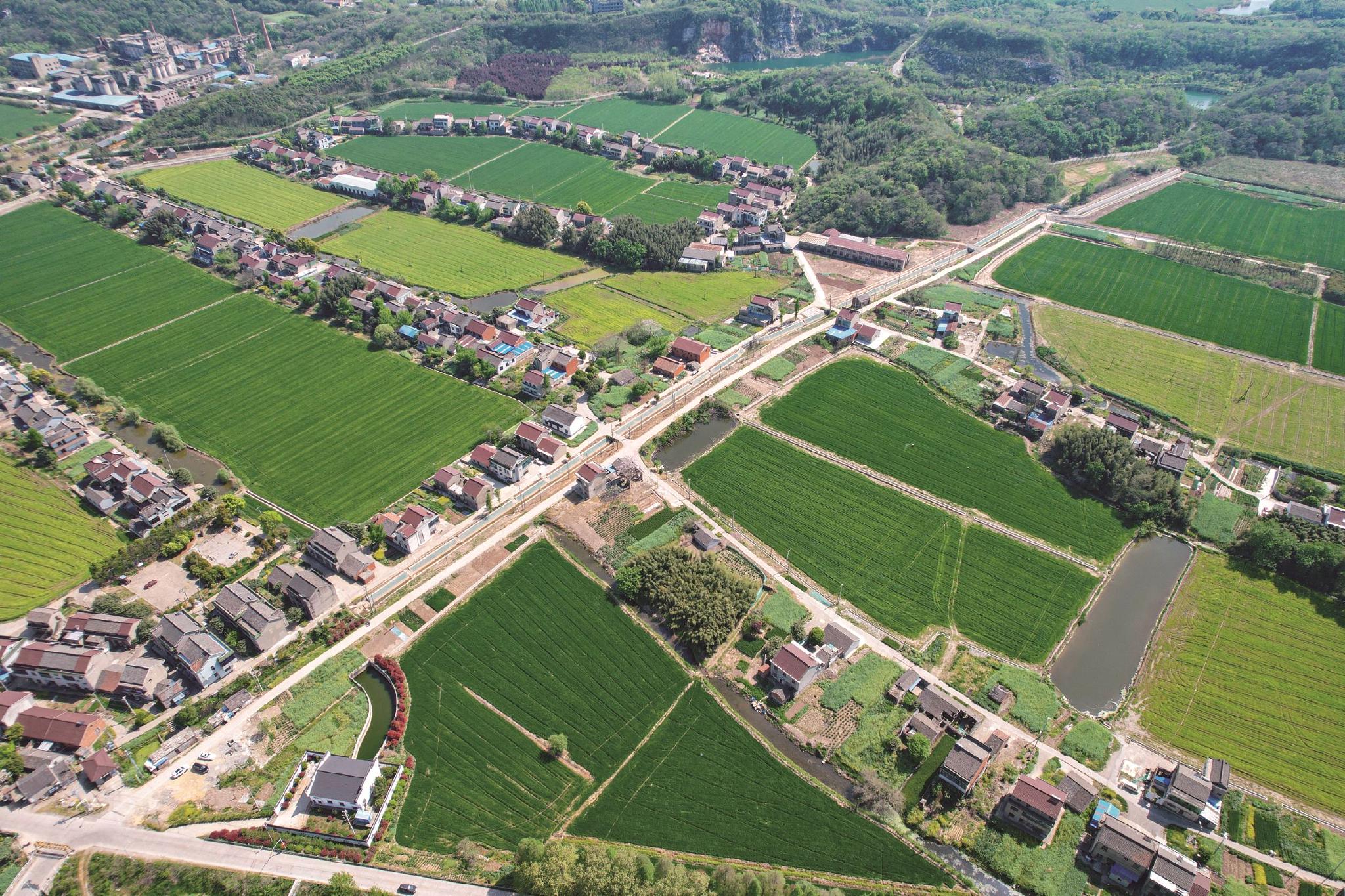 新北区建成3000亩高标准农田