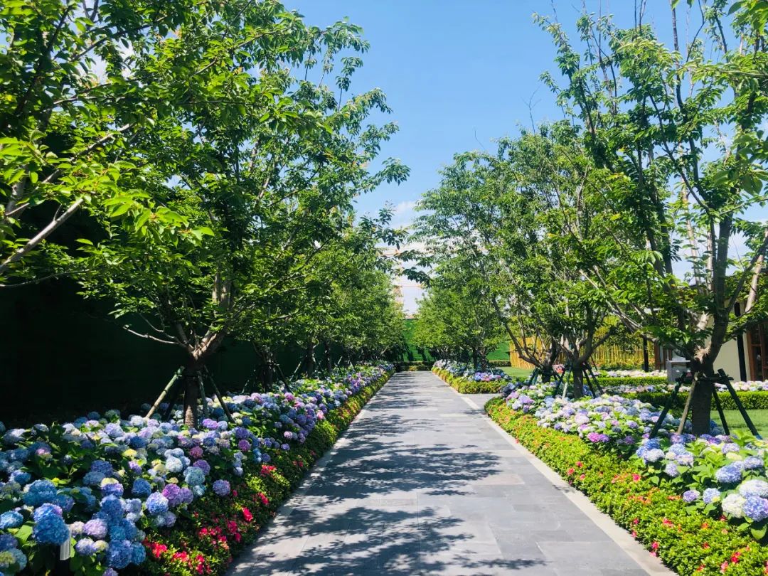家家有庭院，出门就看海 ——这是我和三位邻居的浪漫生活……休闲区蓝鸢梦想 - Www.slyday.coM