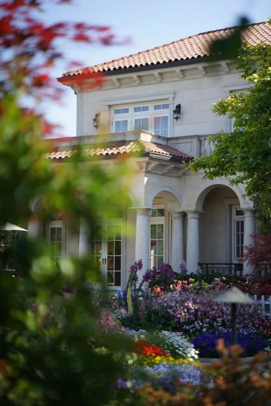 家家有庭院，出门就看海 ——这是我和三位邻居的浪漫生活……休闲区蓝鸢梦想 - Www.slyday.coM