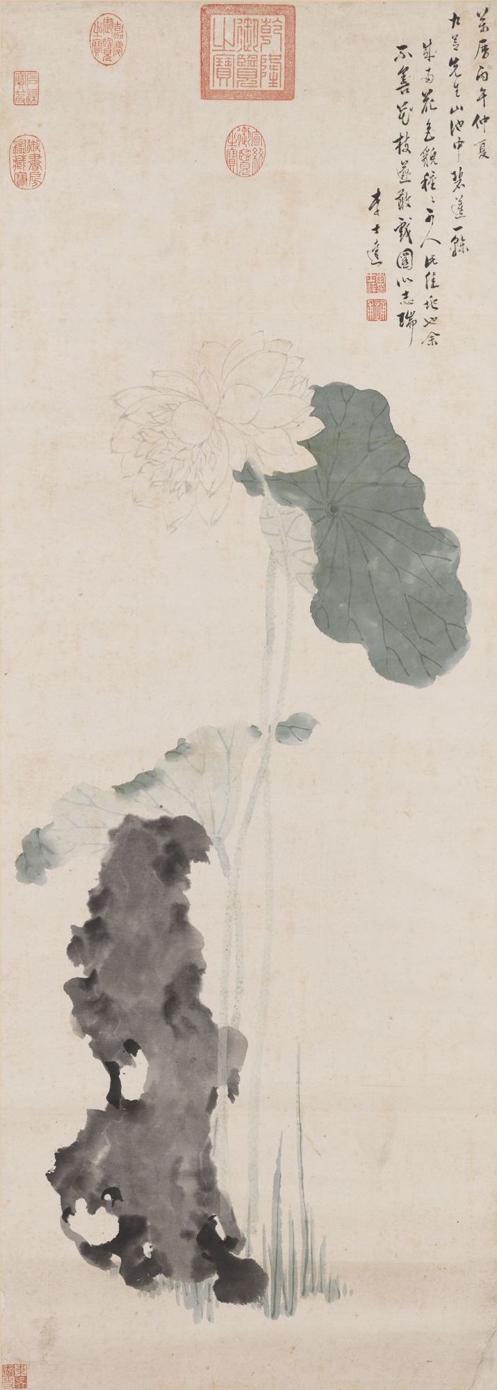 故宫花信|荷花:清韵悠远,水面闻香