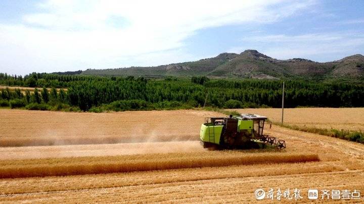 废弃石料厂成网红打卡地！千年古镇“沉睡”土地成为“活资产”休闲区蓝鸢梦想 - Www.slyday.coM
