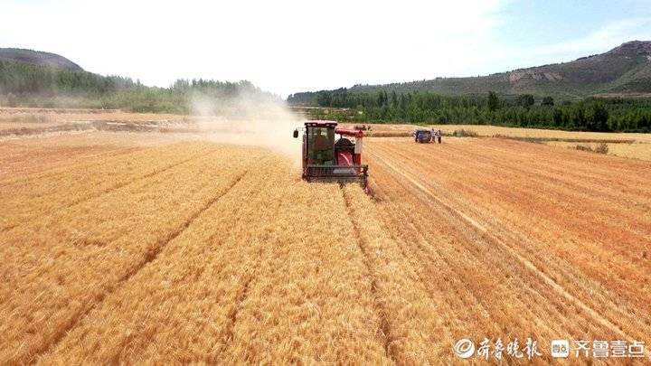 废弃石料厂成网红打卡地！千年古镇“沉睡”土地成为“活资产”休闲区蓝鸢梦想 - Www.slyday.coM