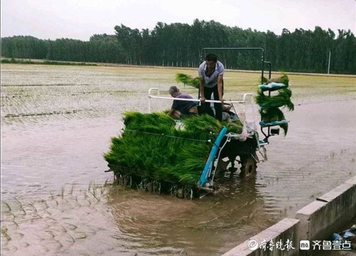 废弃石料厂成网红打卡地！千年古镇“沉睡”土地成为“活资产”休闲区蓝鸢梦想 - Www.slyday.coM