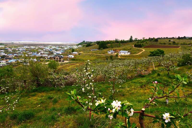 大美边疆吉林珲春青春返乡奋斗逐梦致富路