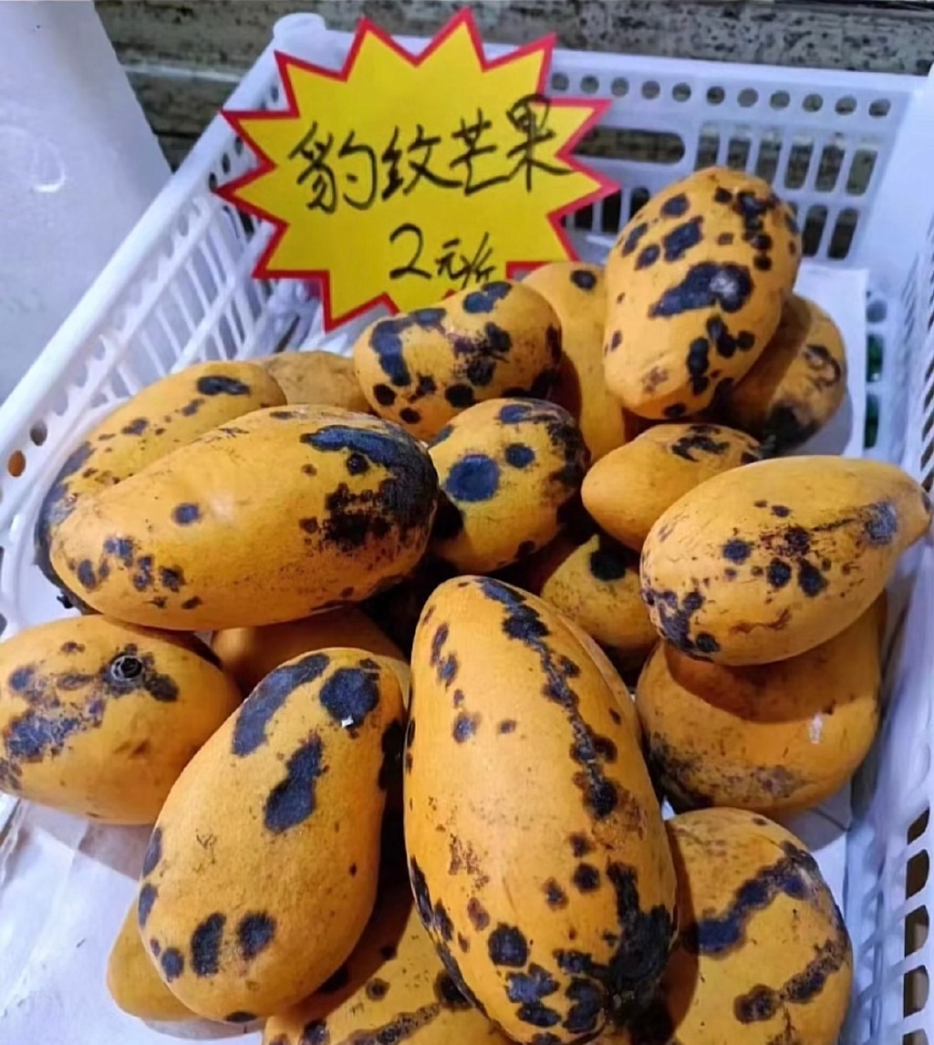 会睡觉的鱼、豹纹芒果……这些“新品种”真的能吃吗？休闲区蓝鸢梦想 - Www.slyday.coM