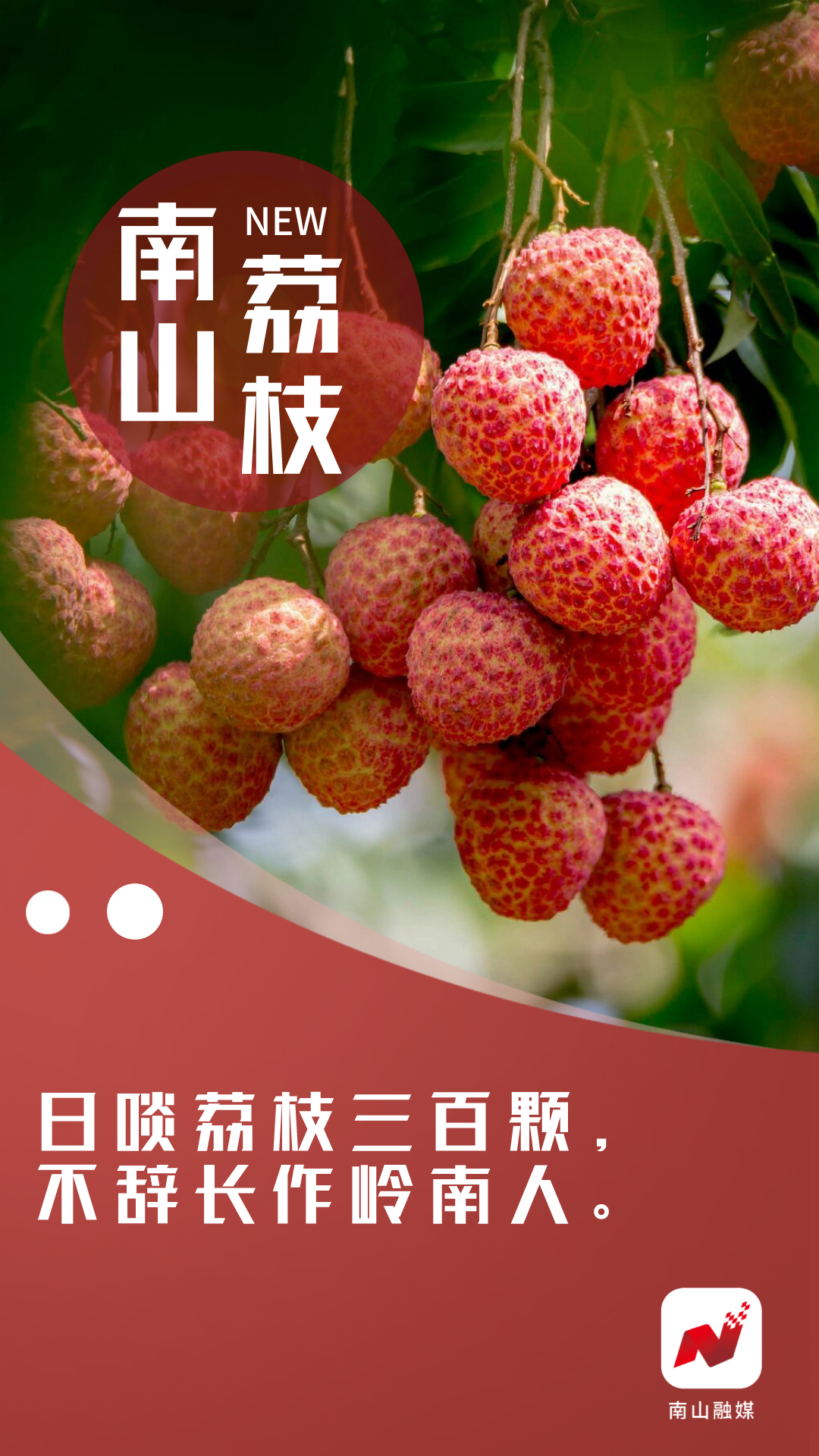 深新早点限量上市手慢无南山荔枝发货啦