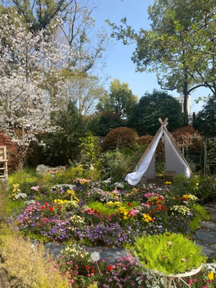 封控之后，上海金融机构纷纷紧急寻找第二办公总部休闲区蓝鸢梦想 - Www.slyday.coM