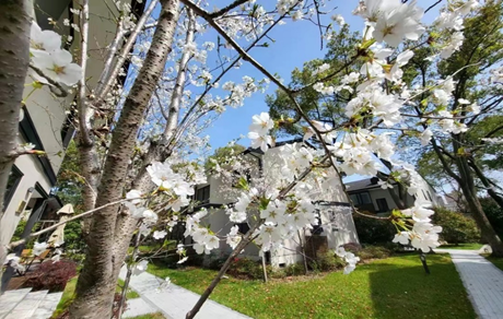 封控之后，上海金融机构纷纷紧急寻找第二办公总部休闲区蓝鸢梦想 - Www.slyday.coM