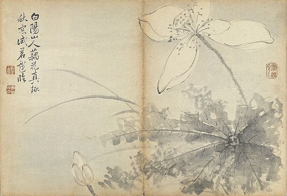 清 恽寿平 荷花 本幅选自台北故宫博物院藏恽寿平"墨花册"