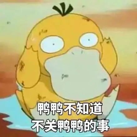 终于轮到上海！听说大家上午都在抢可达鸭，系统一度崩了！你买到了吗？休闲区蓝鸢梦想 - Www.slyday.coM