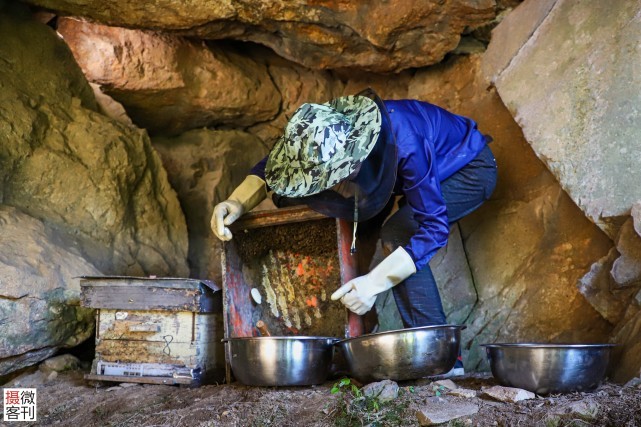 90后小伙山洞里造“豪华别墅”,14年只为养好蜂休闲区蓝鸢梦想 - Www.slyday.coM 90后小伙山洞里造“豪华别墅”,14年只为养好蜂休闲区蓝鸢梦想 - Www.slyday.coM