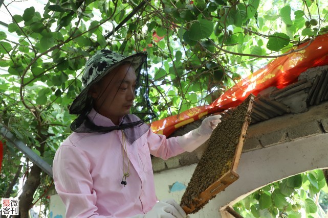 90后小伙山洞里造“豪华别墅”,14年只为养好蜂休闲区蓝鸢梦想 - Www.slyday.coM 90后小伙山洞里造“豪华别墅”,14年只为养好蜂休闲区蓝鸢梦想 - Www.slyday.coM