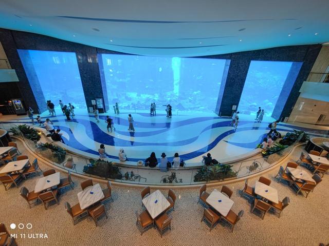 每个小孩子都吵着要来看的三亚酒店,究竟有多好玩?休闲区蓝鸢梦想 - Www.slyday.coM 每个小孩子都吵着要来看的三亚酒店,究竟有多好玩?休闲区蓝鸢梦想 - Www.slyday.coM