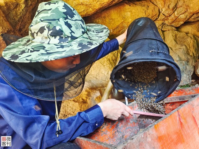 90后小伙山洞里造“豪华别墅”,14年只为养好蜂休闲区蓝鸢梦想 - Www.slyday.coM 90后小伙山洞里造“豪华别墅”,14年只为养好蜂休闲区蓝鸢梦想 - Www.slyday.coM