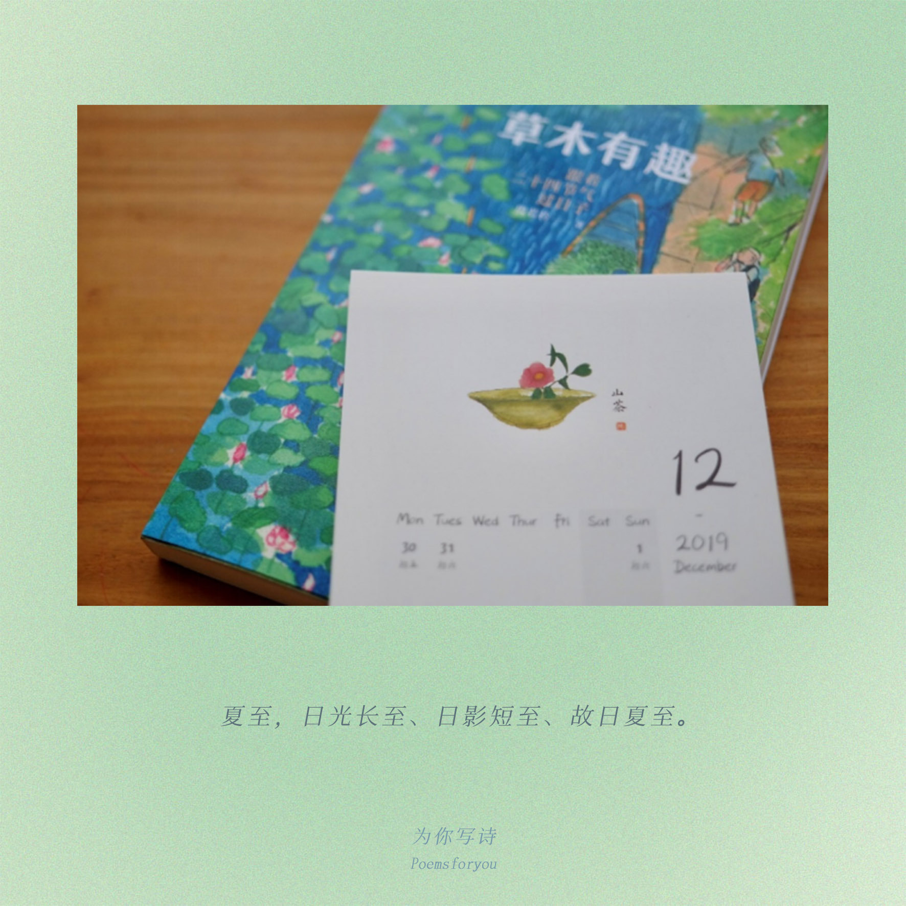 今日，想送你们这本清凉消夏的《草木有趣：跟着二十四节气过日子》休闲区蓝鸢梦想 - Www.slyday.coM