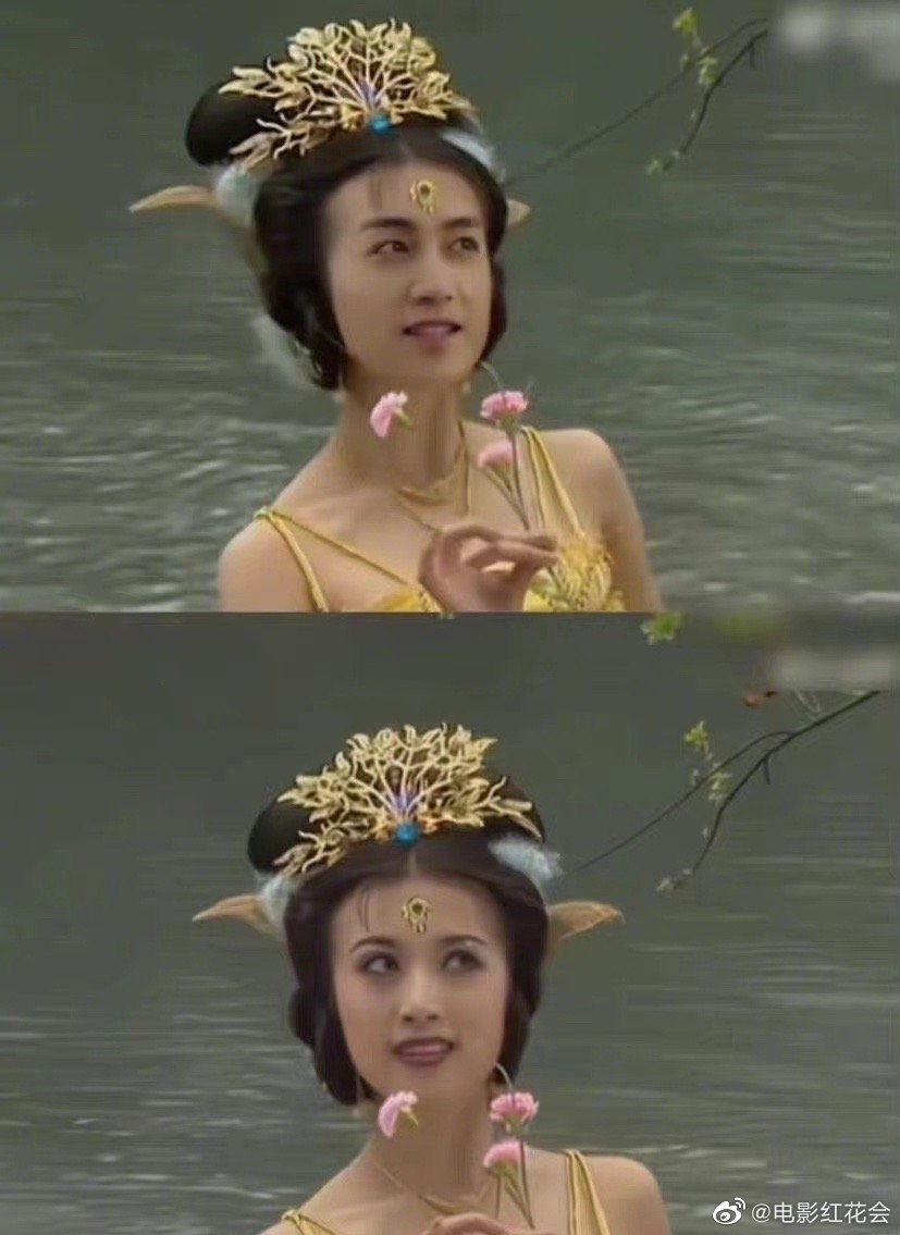 金巧巧夸陈晓版孔雀公主漂亮,陈晓回复姐您才是公主