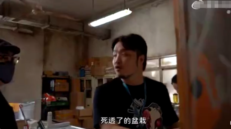 《破事精英》陷抄袭争议，韦正发长文回应，分享创作历程休闲区蓝鸢梦想 - Www.slyday.coM