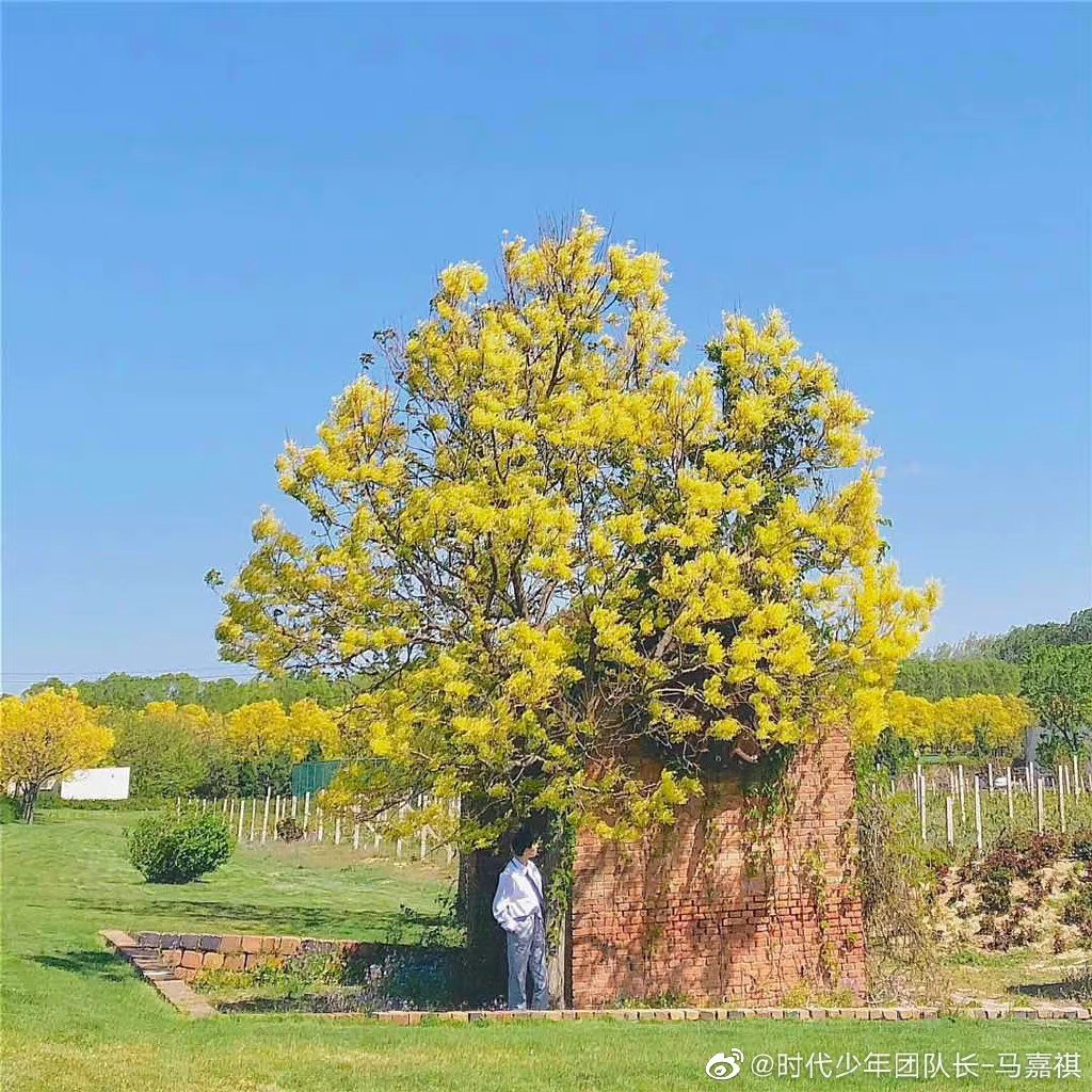 马嘉祺晒随拍又见面啦67一张秋天一张夏天