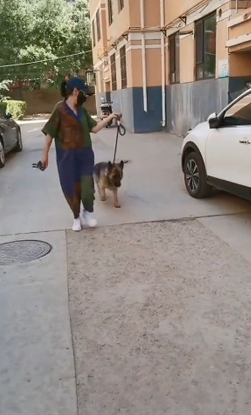 德牧卧在楼道里不肯出来，好心人驾车50公里来帮助：不用再流浪了休闲区蓝鸢梦想 - Www.slyday.coM