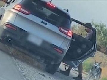 哈士奇被主人遗弃，疯狂追赶车辆的样子，让人心疼！休闲区蓝鸢梦想 - Www.slyday.coM