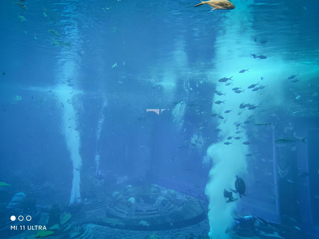 每个小孩子都吵着要来看的三亚酒店,究竟有多好玩?休闲区蓝鸢梦想 - Www.slyday.coM 每个小孩子都吵着要来看的三亚酒店,究竟有多好玩?休闲区蓝鸢梦想 - Www.slyday.coM