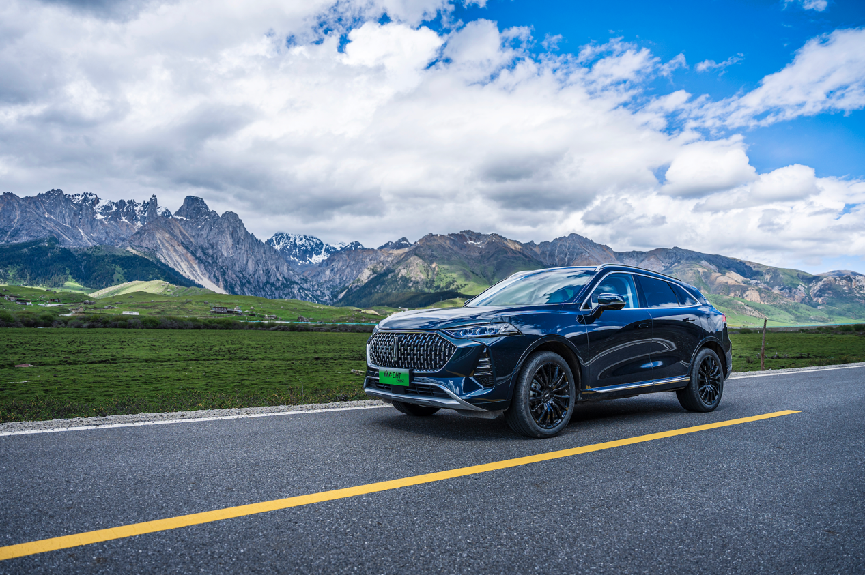 30万元级高端新能源汽车的最佳选择中国魏征战g318