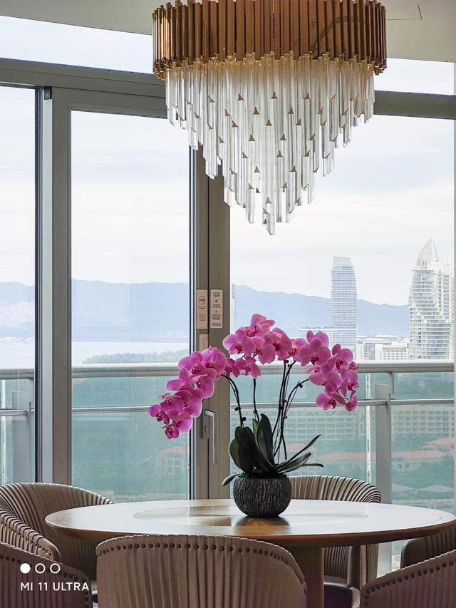 每个小孩子都吵着要来看的三亚酒店,究竟有多好玩?休闲区蓝鸢梦想 - Www.slyday.coM 每个小孩子都吵着要来看的三亚酒店,究竟有多好玩?休闲区蓝鸢梦想 - Www.slyday.coM