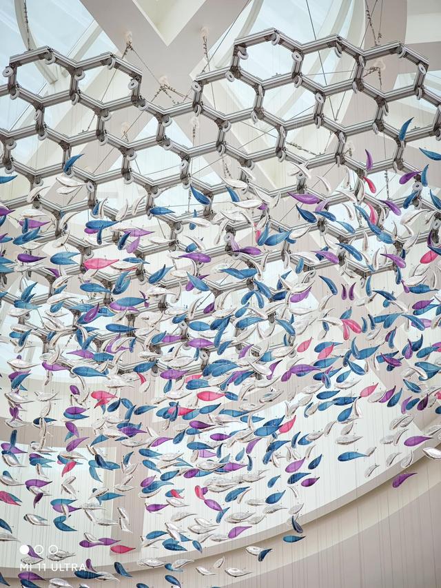 每个小孩子都吵着要来看的三亚酒店,究竟有多好玩?休闲区蓝鸢梦想 - Www.slyday.coM 每个小孩子都吵着要来看的三亚酒店,究竟有多好玩?休闲区蓝鸢梦想 - Www.slyday.coM