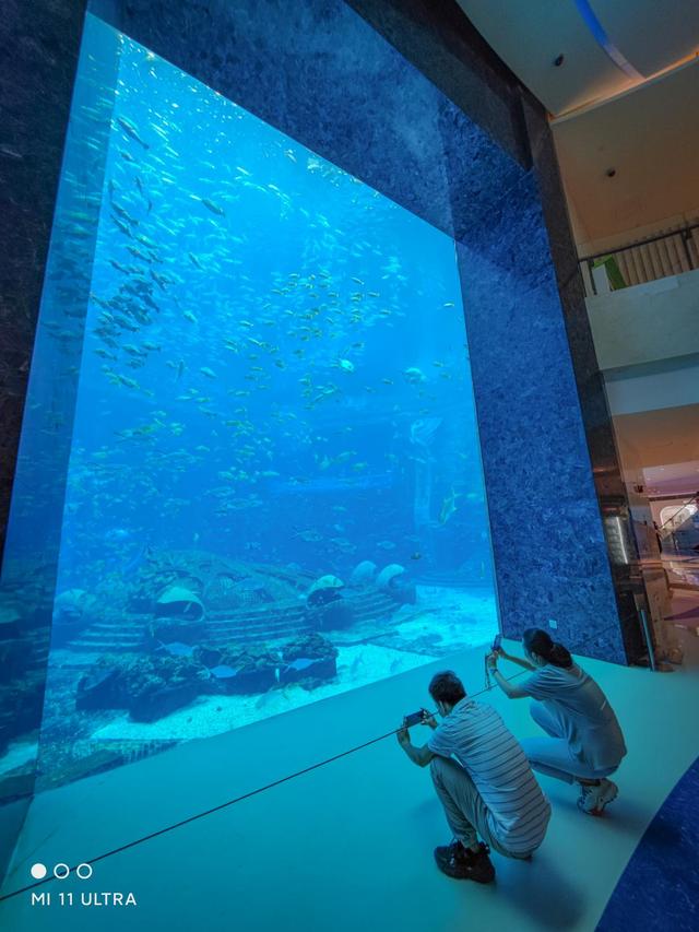 每个小孩子都吵着要来看的三亚酒店,究竟有多好玩?休闲区蓝鸢梦想 - Www.slyday.coM 每个小孩子都吵着要来看的三亚酒店,究竟有多好玩?休闲区蓝鸢梦想 - Www.slyday.coM