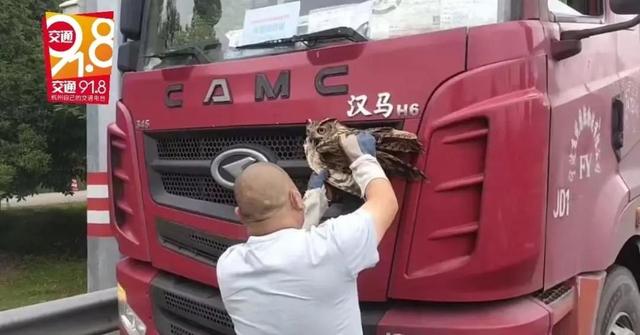 光天化日下，男子在浙江高速上被“碰瓷”！对方竟是…休闲区蓝鸢梦想 - Www.slyday.coM