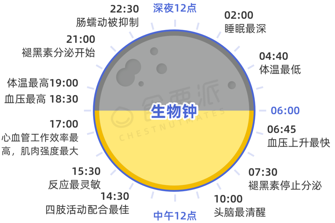 这个时间运动，最减肚子上的肉！女生限定休闲区蓝鸢梦想 - Www.slyday.coM