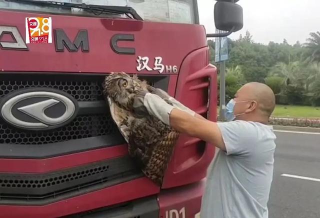 光天化日下，男子在浙江高速上被“碰瓷”！对方竟是…休闲区蓝鸢梦想 - Www.slyday.coM