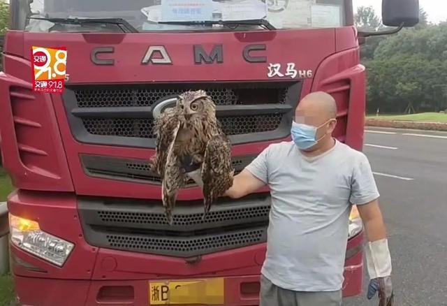 光天化日下，男子在浙江高速上被“碰瓷”！对方竟是…休闲区蓝鸢梦想 - Www.slyday.coM