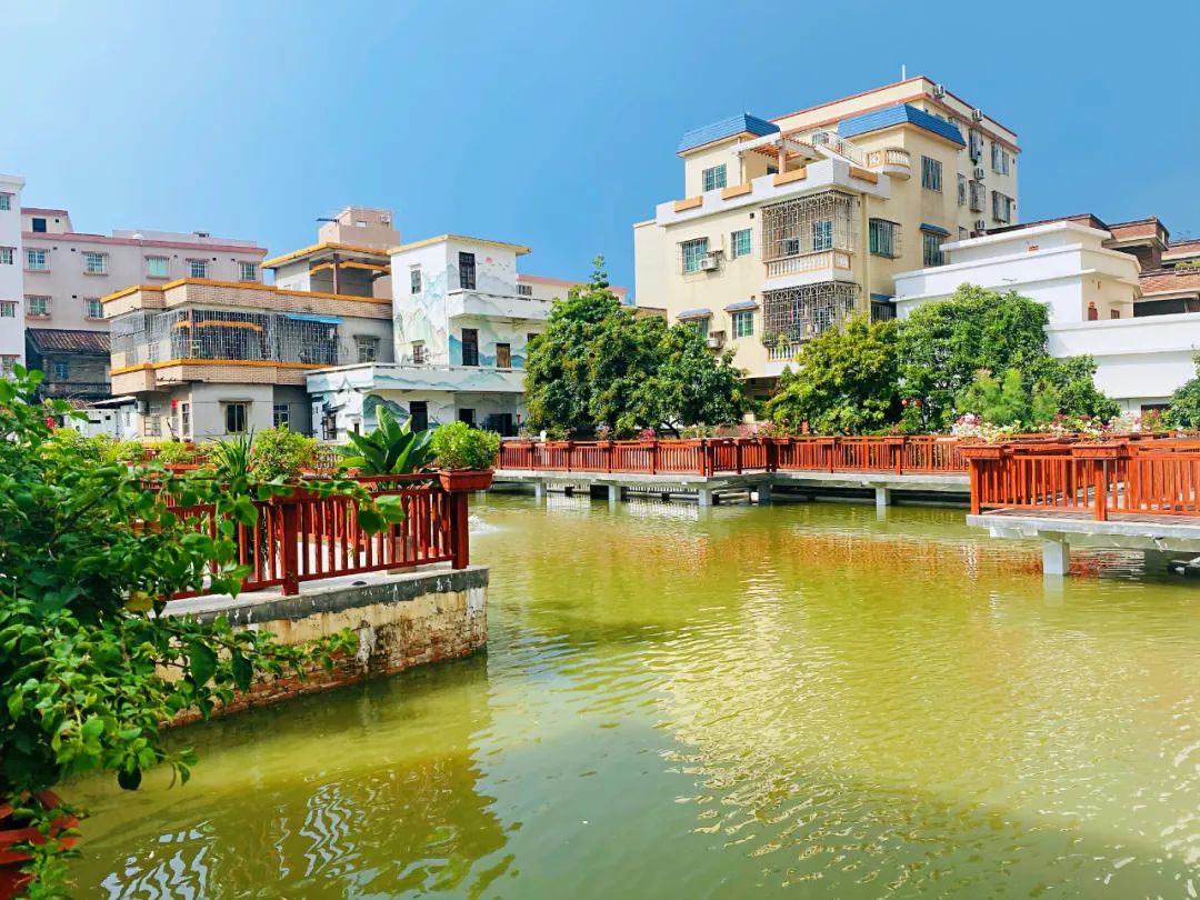 村民收入5年翻了30倍！佛山西站“后花园”有颜有料 ｜善治星期二休闲区蓝鸢梦想 - Www.slyday.coM