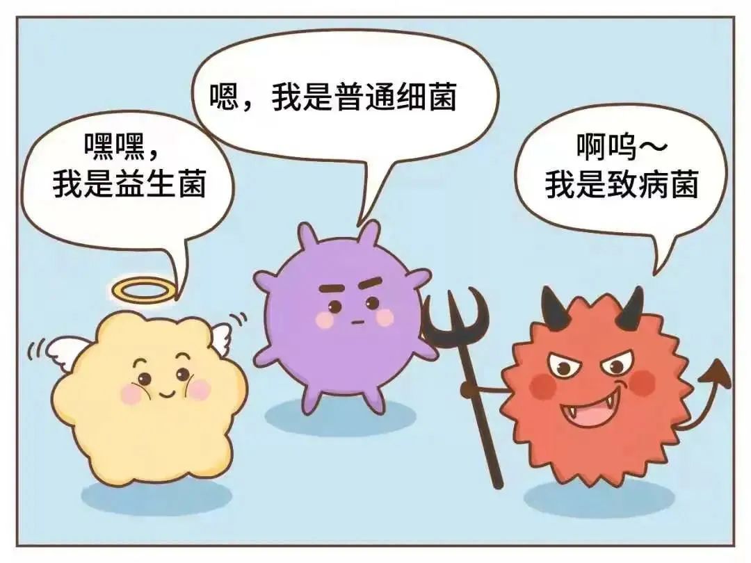 一口下去竟有8400个细菌?"吃瓜群众"慌了