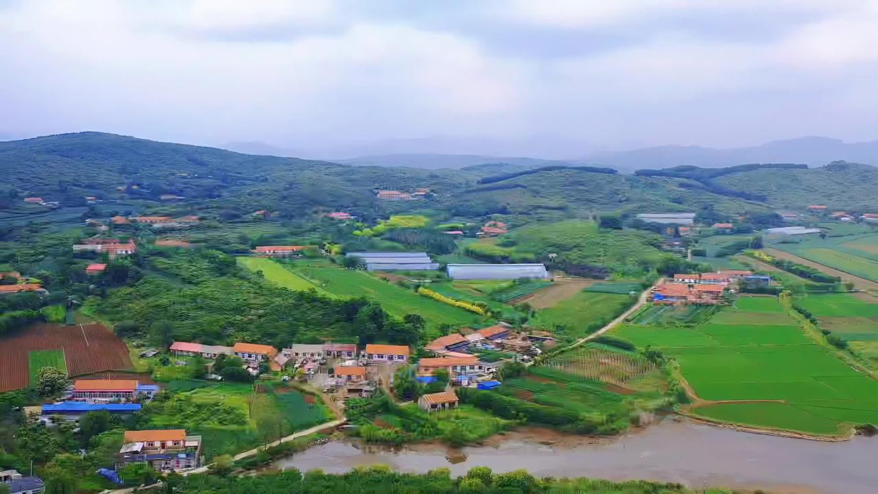 初夏六月绿色家乡特别是东港市前阳镇朋友