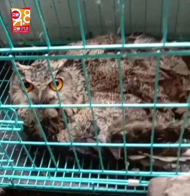 光天化日下，男子在浙江高速上被“碰瓷”！对方竟是…休闲区蓝鸢梦想 - Www.slyday.coM