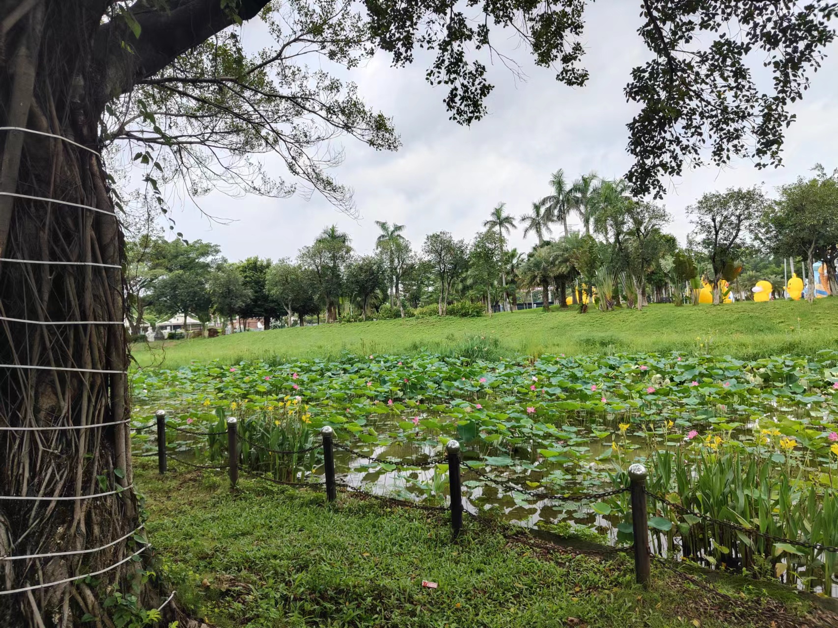 三水重磅推出三大文旅节庆活动|西江_新浪新闻