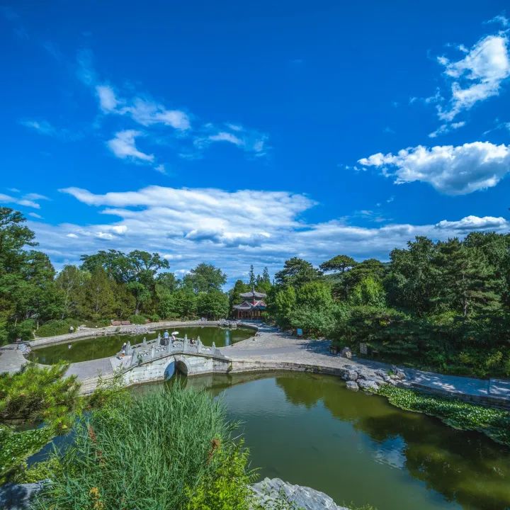 清风徐徐,舒展的花瓣轻轻摇曳,睡莲正次第开放着,静翠湖,眼镜湖,致远