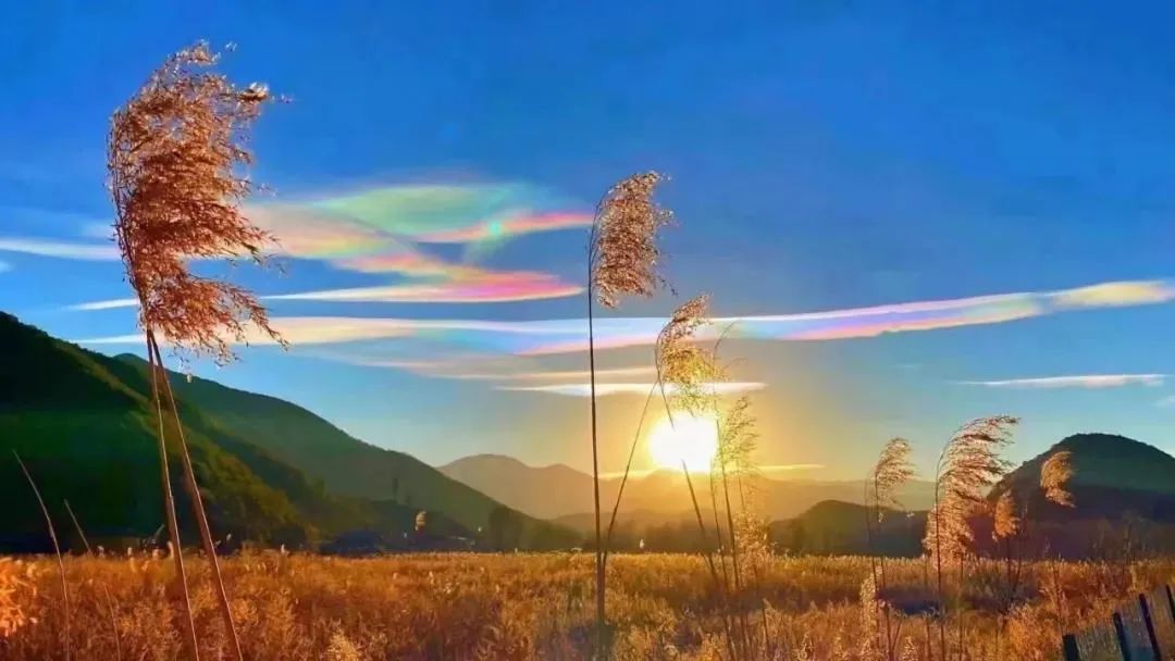 云南看云_新浪财经_新浪网