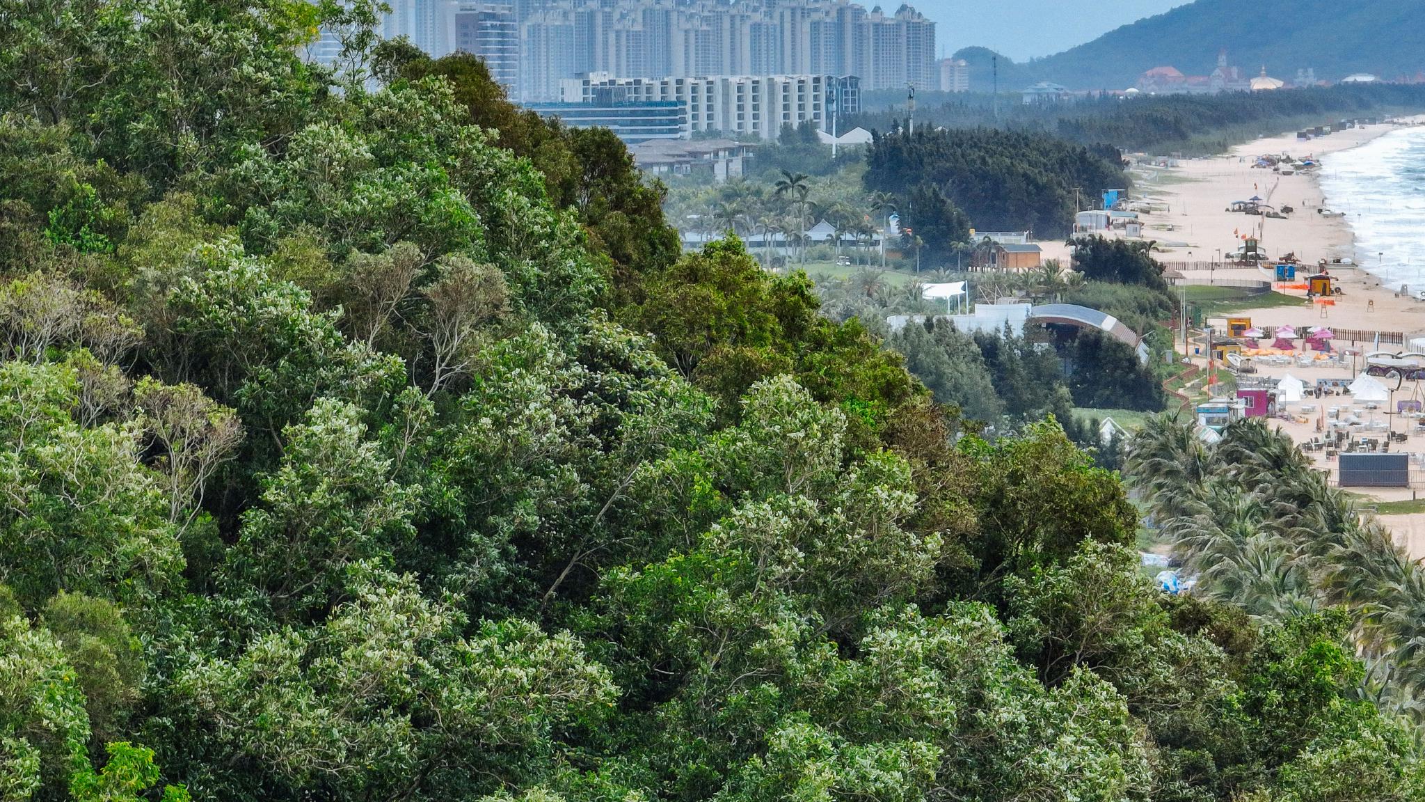 在广州最美的海岛上，建了一座沉船博物馆，一定要来看一次休闲区蓝鸢梦想 - Www.slyday.coM