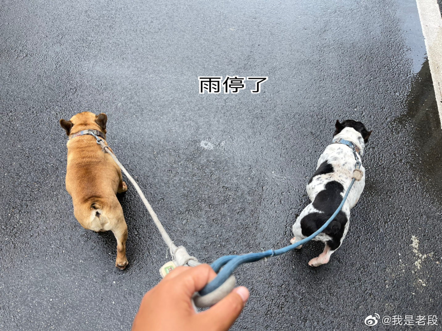 刚才给自己立了个flag，到11:00不管下不下雨，我们都要回家……休闲区蓝鸢梦想 - Www.slyday.coM