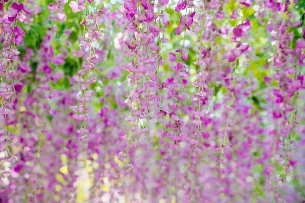 你的中秋团圆好去处——东莞观音山已上线休闲区蓝鸢梦想 - Www.slyday.coM 你的中秋团圆好去处——东莞观音山已上线休闲区蓝鸢梦想 - Www.slyday.coM