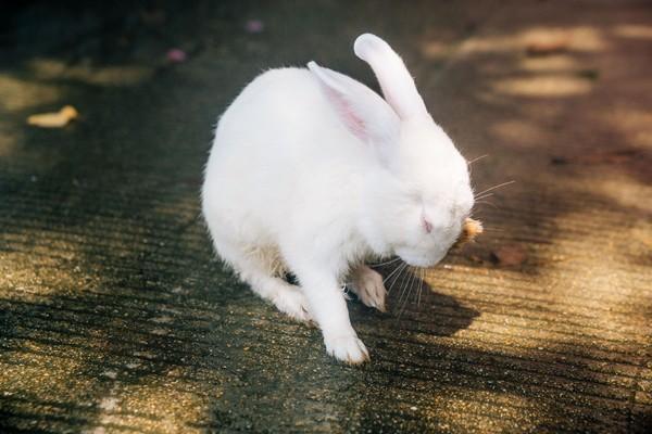 你的中秋团圆好去处——东莞观音山已上线休闲区蓝鸢梦想 - Www.slyday.coM 你的中秋团圆好去处——东莞观音山已上线休闲区蓝鸢梦想 - Www.slyday.coM