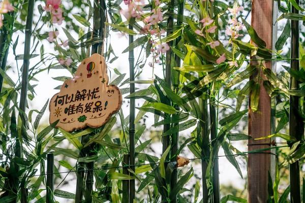 你的中秋团圆好去处——东莞观音山已上线休闲区蓝鸢梦想 - Www.slyday.coM 你的中秋团圆好去处——东莞观音山已上线休闲区蓝鸢梦想 - Www.slyday.coM