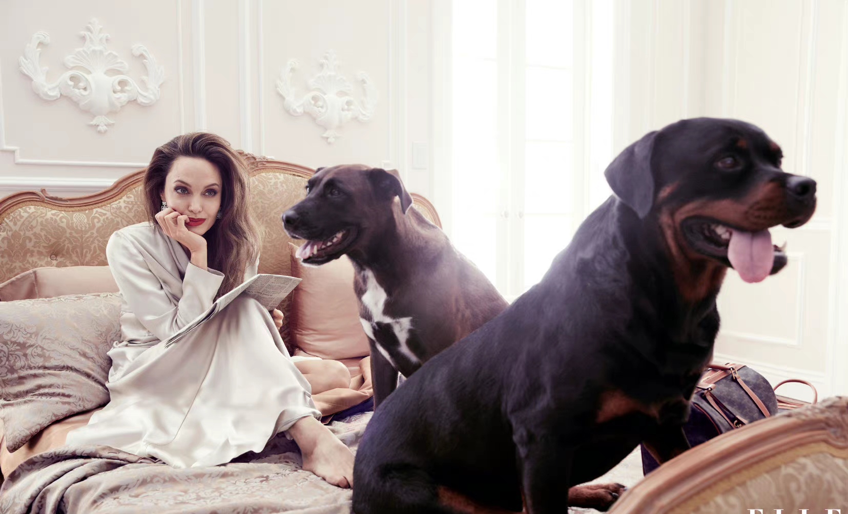 安吉丽娜穿衣不接地气你搞错了她的日常穿搭全是基础款基础色