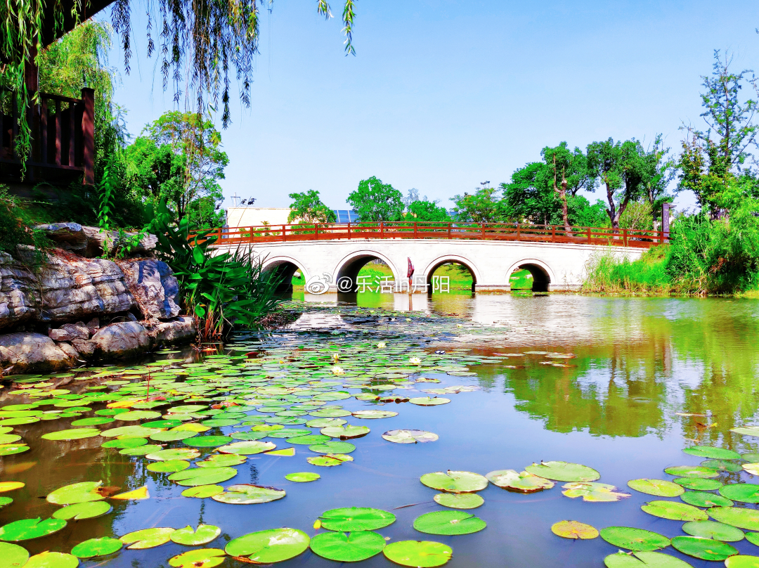 夏至已至丹阳美景如约而至丹阳微城管
