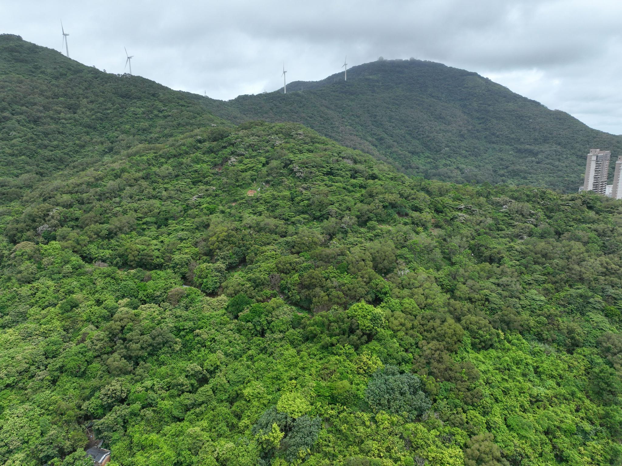 在广州最美的海岛上，建了一座沉船博物馆，一定要来看一次休闲区蓝鸢梦想 - Www.slyday.coM